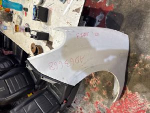 Fiat Doblo 263 2015-on LF Guard/Fender