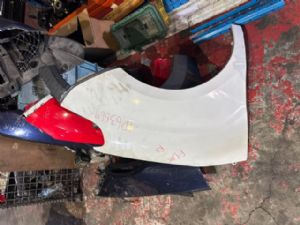 Fiat Doblo 263 2015-on RF Guard/Fender