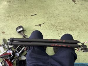 Land Rover Discovery L462 2017-on Tailgate Struts Set (Self Opening)