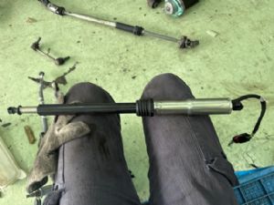 Land Rover Discovery L462 2017-on Tailgate Struts (Set)