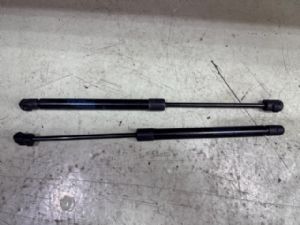 Infiniti Q50 Q50 2016-on Bonnet Gas Struts (Set)