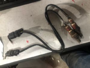 Audi S5 S5 B8/8T 2007-2012 Exhaust Oxy Sensor