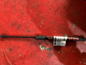 Audi A4 8W 2015-2018 Bonnet Gas Strut