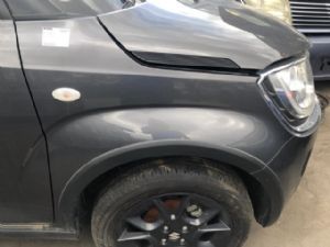 Suzuki Ignis Other RF Guard/Fender