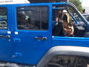 Jeep Jeep Wrangler JK 2007-2018 LR Door Complete