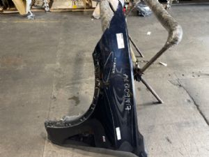 BMW X5 G05 2018-on LF Guard/Fender
