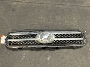 Toyota RAV4 ACA30R Grille