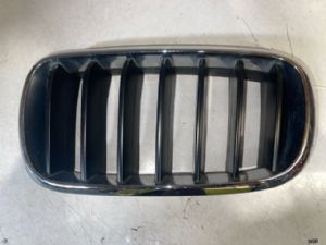 BMW X5 F15 2013-2017 LF Kidney Grille