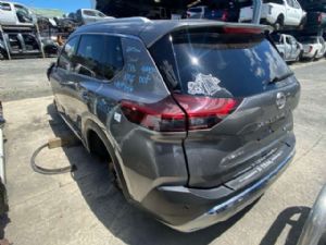 Nissan Xtrail T33 4WD Hybrid 2022-on LR Door Shell
