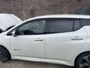 Nissan Leaf ZE1 2018-on LF Door Shell