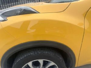 Nissan Juke F15 2012-on LF Guard/Fender