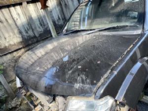 Nissan Navara D40 VSK 4WD 05/2010-2015 Bonnet