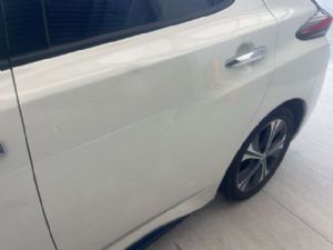 Nissan Leaf ZE1 2018-on LR Door Shell