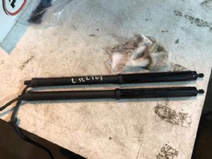 Toyota RAV4 AXAH54 Tailgate Struts Set (Self Opening)