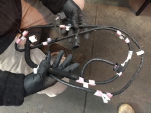 Toyota RAV4 AXAH54 Parking Sensor Loom