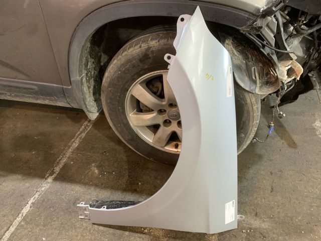 Hyundai Ioniq Hybrid LF Guard/Fender