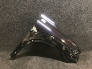 Mitsubishi Outlander GN 2022-on RF Guard/Fender