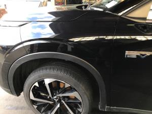 Mitsubishi Outlander GN 2022-on LF Guard/Fender