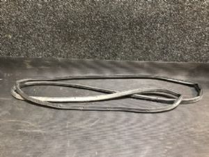 Mitsubishi Outlander GN 2022-on RR Door Rubber