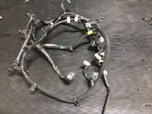 Mitsubishi Outlander GN 2022-on Spotlight Wiring Loom