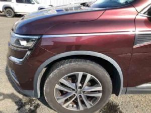 Renault Koleos QM6 LF Guard/Fender