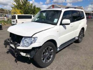 Mitsubishi Pajero V98W LF Guard/Fender