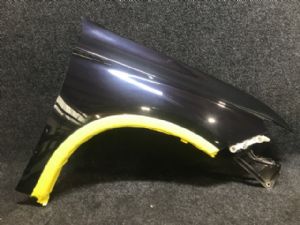 Mitsubishi Outlander GF7 2013->On RF Guard Flare