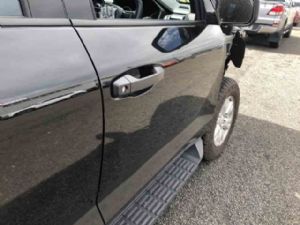 Mitsubishi Triton LLC LLB 2024-on RF Door Shell