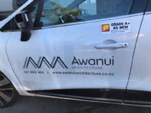Renault Clio Lutecia LF Door Shell (Moulding Type)