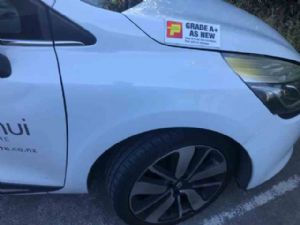 Renault Clio Lutecia RF Guard/Fender