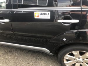 Mitsubishi Outlander CW5W 2006-2012 LR Door Shell (Moulding Type)