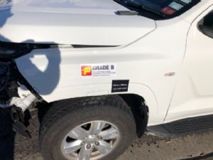 Mitsubishi Triton LLC LLB 2024-on LF Guard/Fender