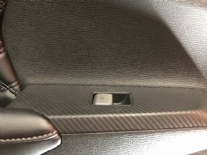 Mitsubishi Outlander GM4W 2021-on LR Window Switch