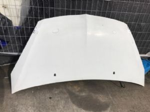 Mitsubishi Colt Z23A Bonnet