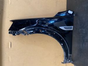 Holden Captiva Captiva 7 2016-on LF Guard/Fender