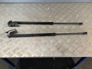 Haval H2 2018-on (Premium) Tailgate Struts (Set)