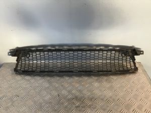 Lexus IS300 AVE30 Grille Lower