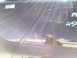 Lexus RX330 RX330 RR Door Quarter Glass