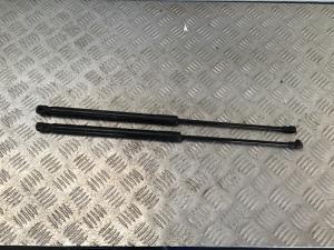 Lexus RX RX 450h 2009-2011 Bonnet Gas Struts (Set)
