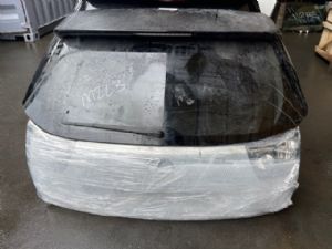 Lexus RX330 RX330 Complete Tailgate